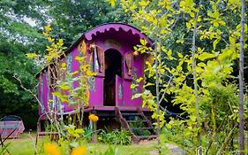 Gypsy Wagons And Vans, Clarens